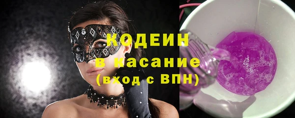 соль ск Алапаевск
