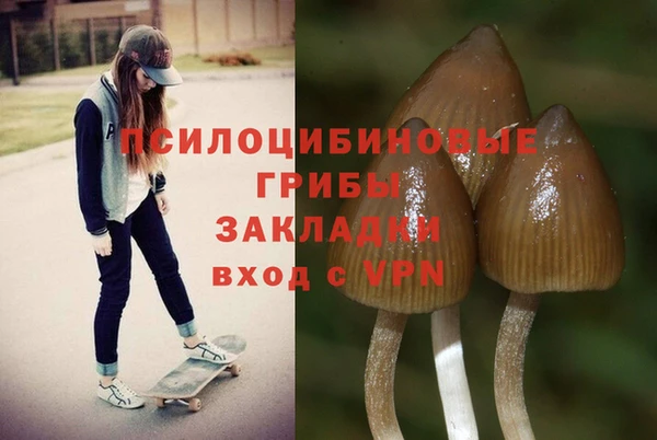 гашик Ачинск