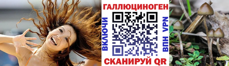 Галлюциногенные грибы Cubensis  Зеленогорск 