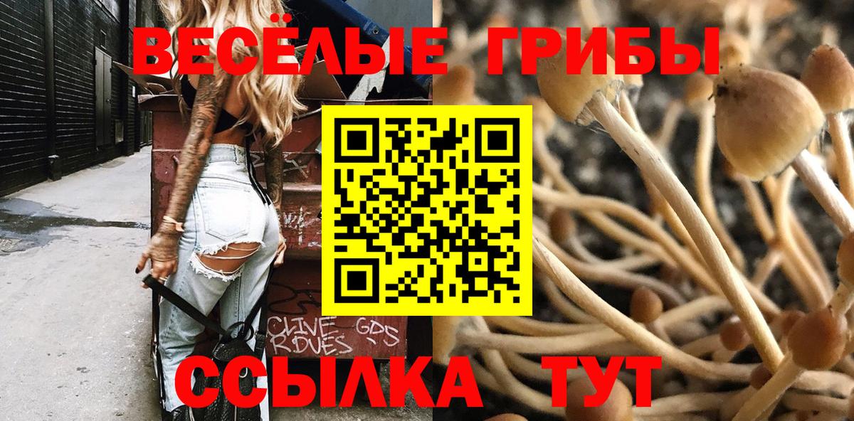 Галлюциногенные грибы GOLDEN TEACHER  Вход с VPN  Зеленогорск 