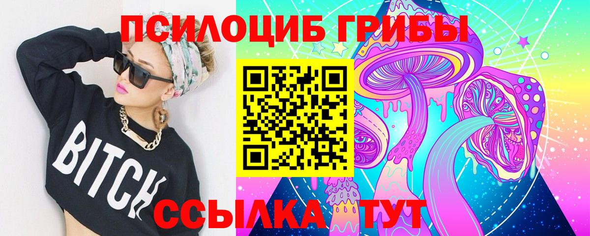 Галлюциногенные грибы Psilocybe Зеленогорск