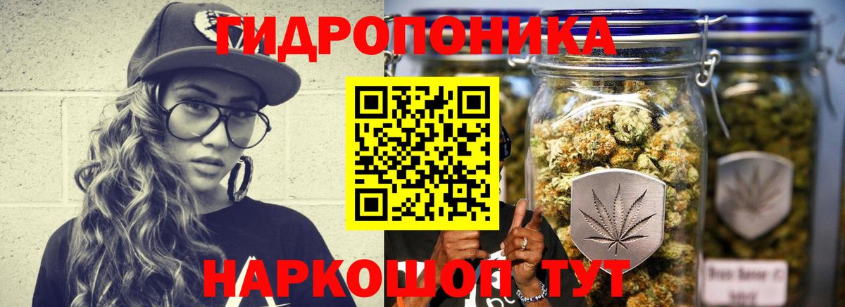 Зеленогорск  МАРИХУАНА SATIVA & INDICA  Марихуана план  Шишки марихуана Ganja  Вход с VPN 